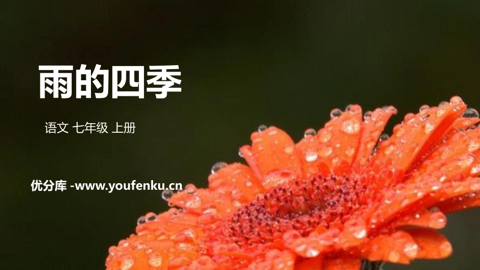 《雨的四季》PPT优质课件[部编版七年级语文上册]_第1页