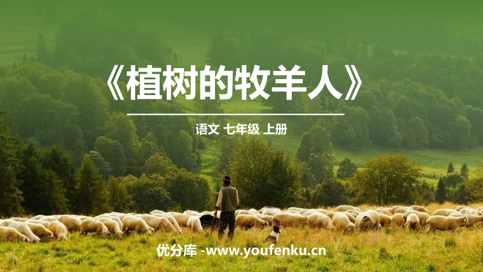 《植树的牧羊人》PPT优秀课件[部编版七年级语文上册]_第1页