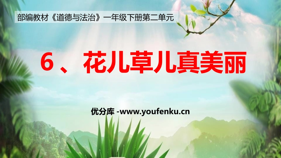 《花儿草儿真美丽》PPT课件[一年级道德与法治下册]_第1页