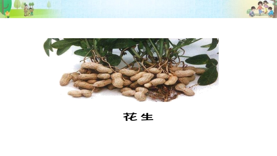 《试种一粒籽》PPT课件(第1课时)[二年级道德与法治下册]_第2页