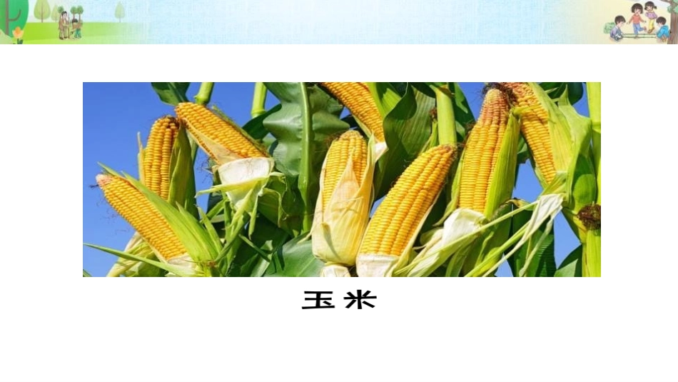 《试种一粒籽》PPT课件(第1课时)[二年级道德与法治下册]_第3页