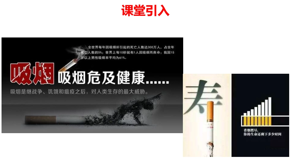 《主动拒绝烟酒与毒品》PPT(第1课时)PPT课件_第2页
