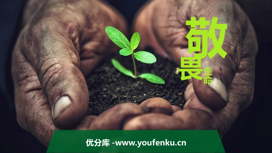 《敬畏生命》PPT免费课件[七年级道德与法治上册]_第1页