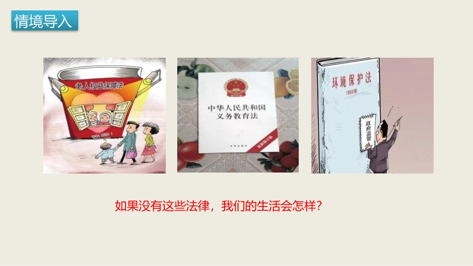 《生活需要法律》PPT免费课件[七年级道德与法治下册]_第2页