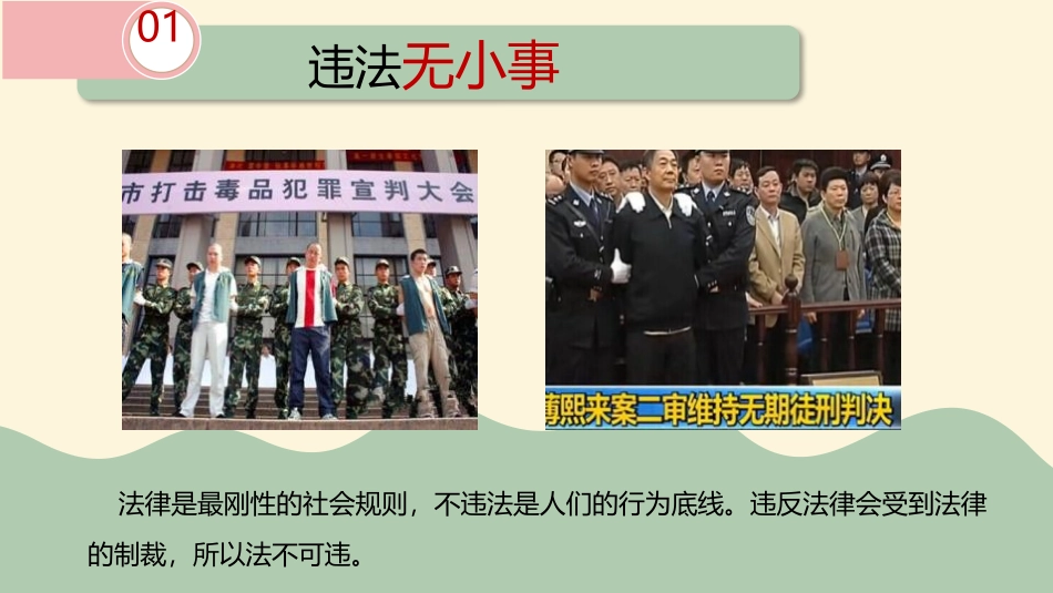 《法不可违》PPT教学课件[八年级道德与法治上册]_第2页