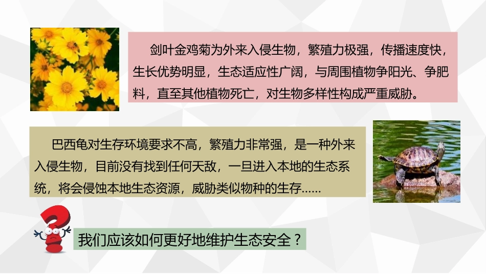 《维护国家安全》PPT免费课件[八年级道德与法治上册]_第3页