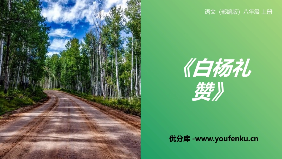 《白杨礼赞》PPT优质课件[部编版八年级语文上册]_第1页