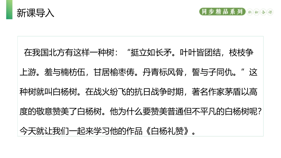 《白杨礼赞》PPT优质课件[部编版八年级语文上册]_第2页