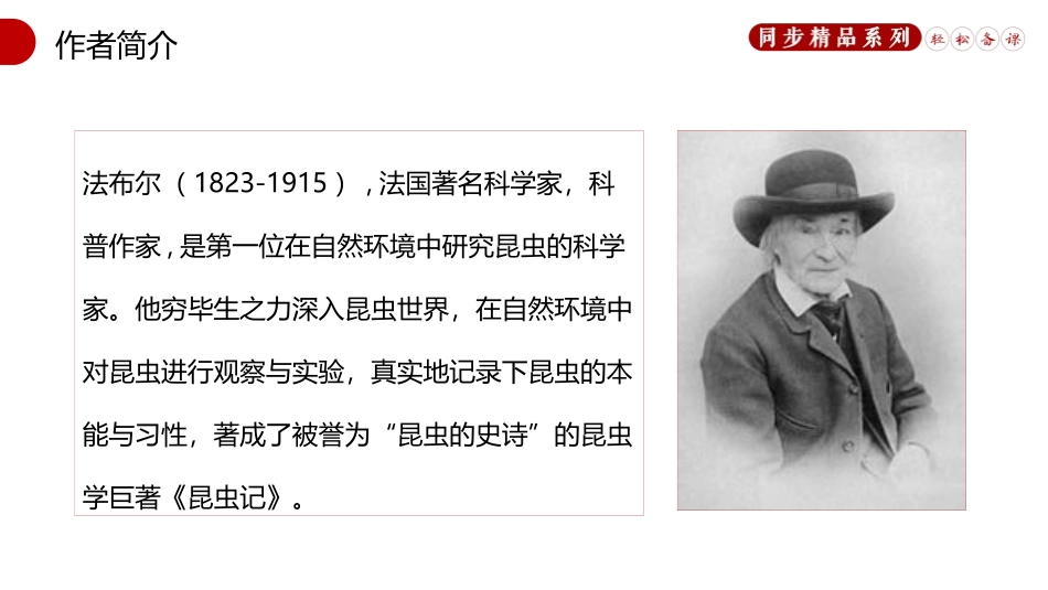 《蝉》PPT精品课件[部编版八年级语文上册]_第3页