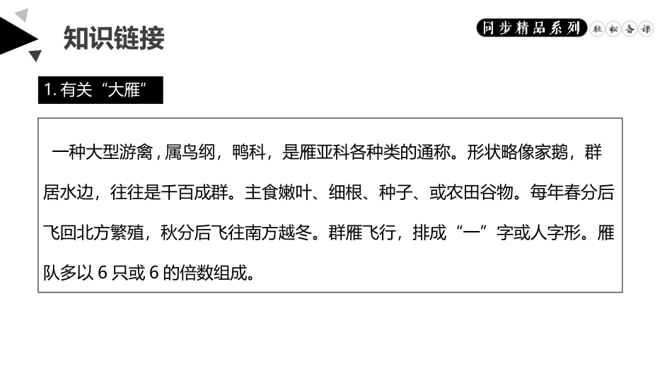 《大雁归来》PPT精品课件[部编版八年级语文下册]_第3页
