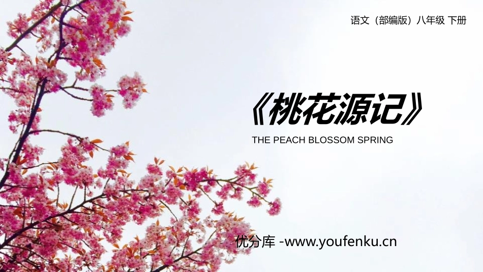 《桃花源记》PPT优秀课件[部编版八年级语文下册]_第1页