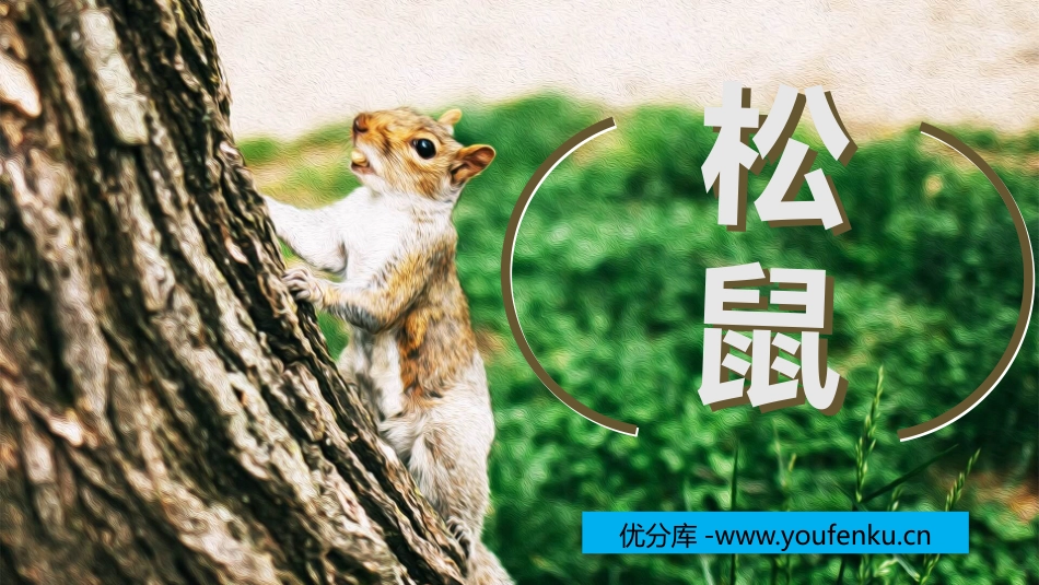 《松鼠》PPT优质课件[部编版五年级语文上册]_第1页