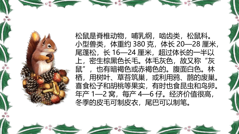 《松鼠》PPT优质课件[部编版五年级语文上册]_第2页