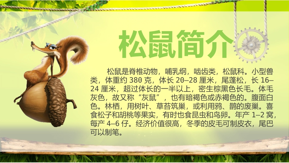 《松鼠》PPT教学课件[部编版五年级语文上册]_第3页