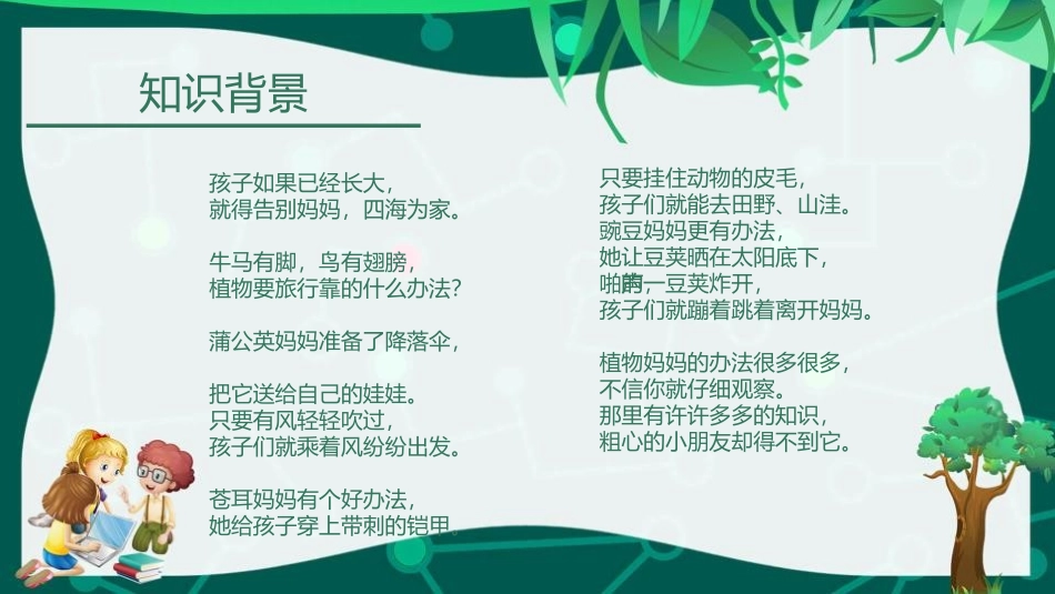 《植物妈妈有办法》PPT优秀课件[部编版二年级语文上册]_第3页