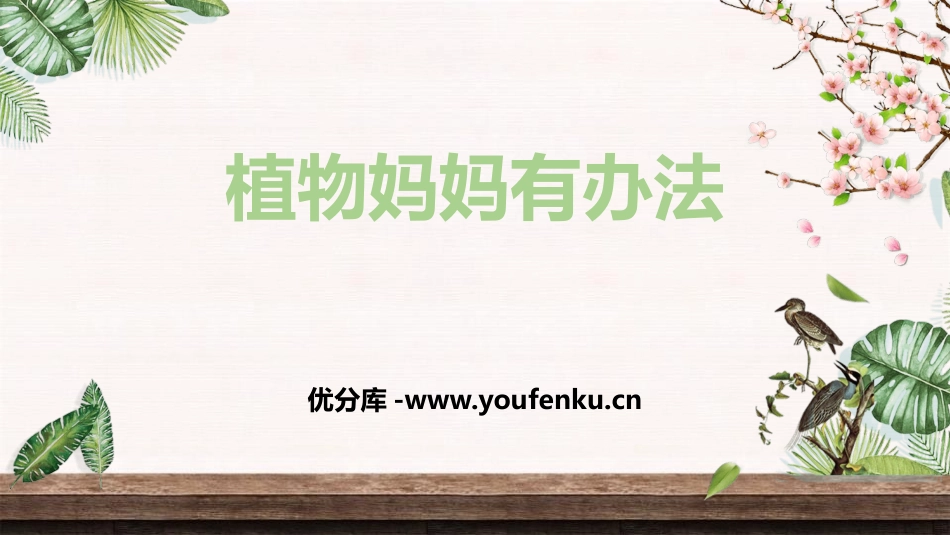 《植物妈妈有办法》PPT优质课件[部编版二年级语文上册]_第1页
