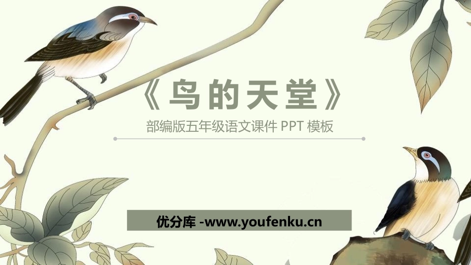 《鸟的天堂》PPT优秀课件[部编版五年级语文上册]_第1页