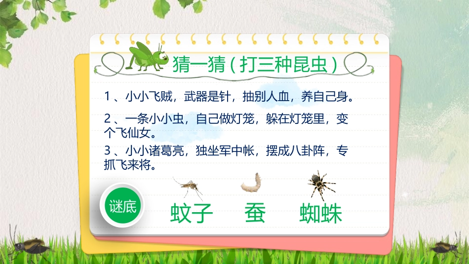 《蟋蟀的住宅》PPT优秀课件[部编版四年级语文上册]_第3页