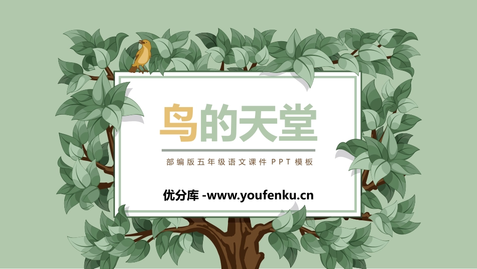《鸟的天堂》PPT课文课件[部编版五年级语文上册]_第1页