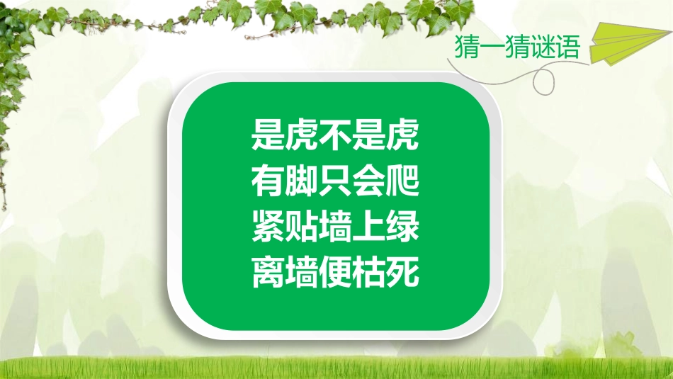 《爬山虎的脚》PPT课文课件[部编版四年级语文上册]_第2页