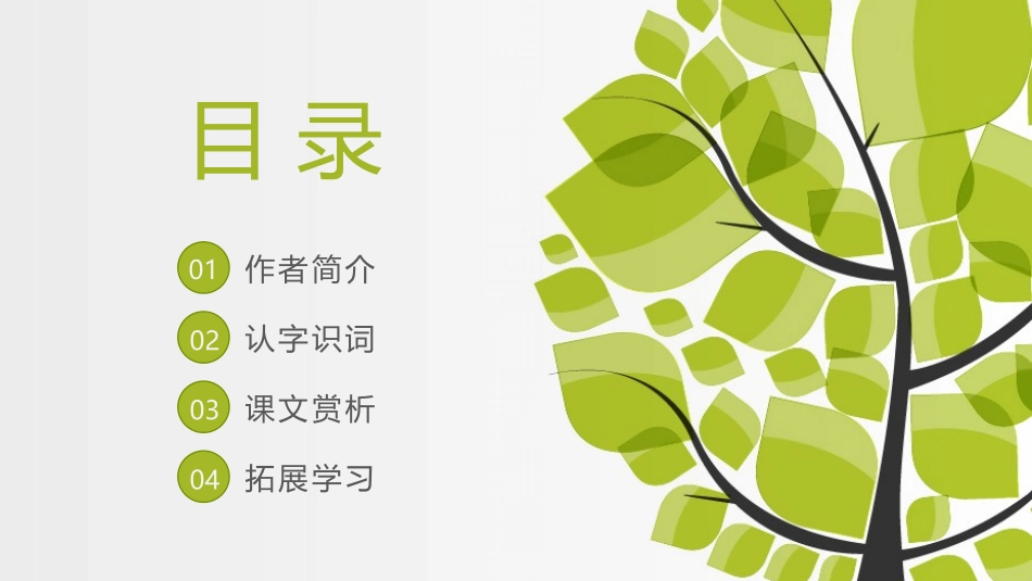 《鸟的天堂》PPT精品课件[部编版五年级语文上册]_第2页