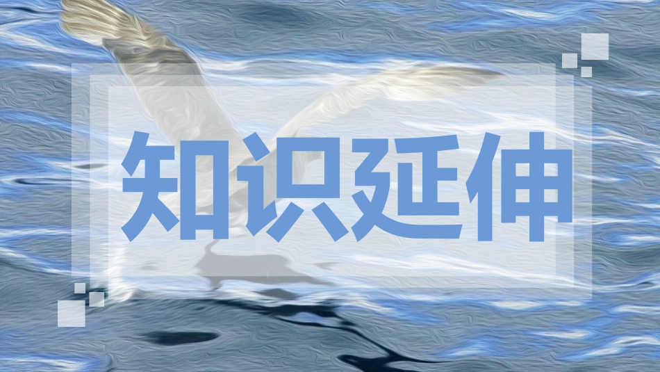 《海燕》PPT课文课件[部编版九年级语文下册]_第3页