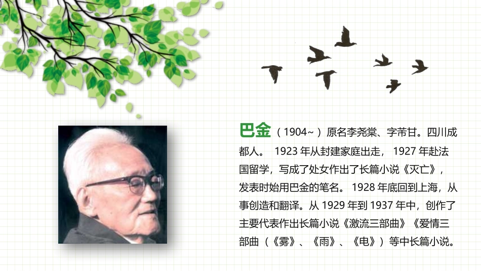 《鸟的天堂》PPT免费课件[部编版五年级语文上册]_第2页