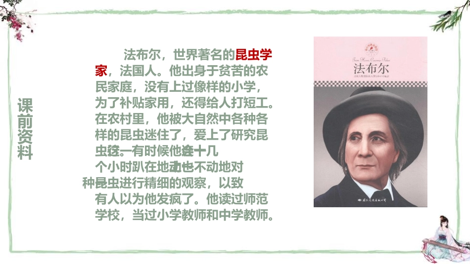 《蝉》PPT免费课件[部编版八年级语文上册]_第3页
