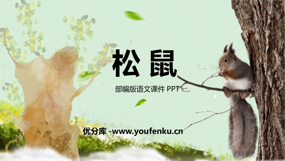 《松鼠》PPT教学课件[部编版五年级语文上册]_第1页