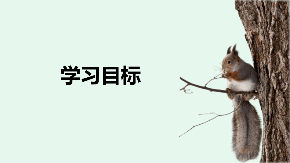 《松鼠》PPT教学课件[部编版五年级语文上册]_第2页