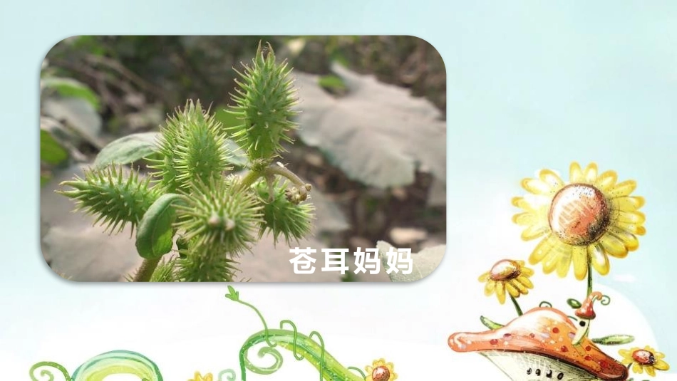 《植物妈妈有办法》PPT免费教学课件[部编版二年级语文上册]_第3页