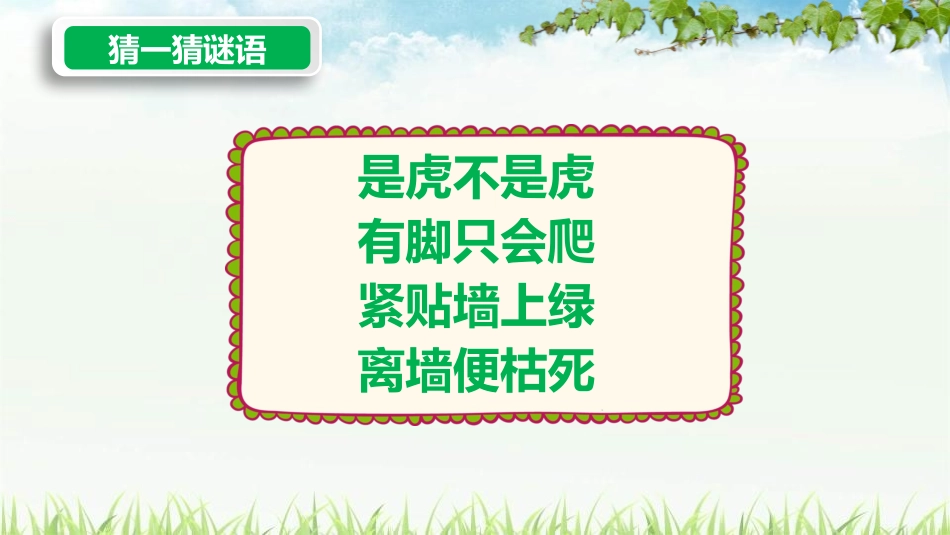 《爬山虎的脚》PPT课文课件[部编版四年级语文上册]_第2页