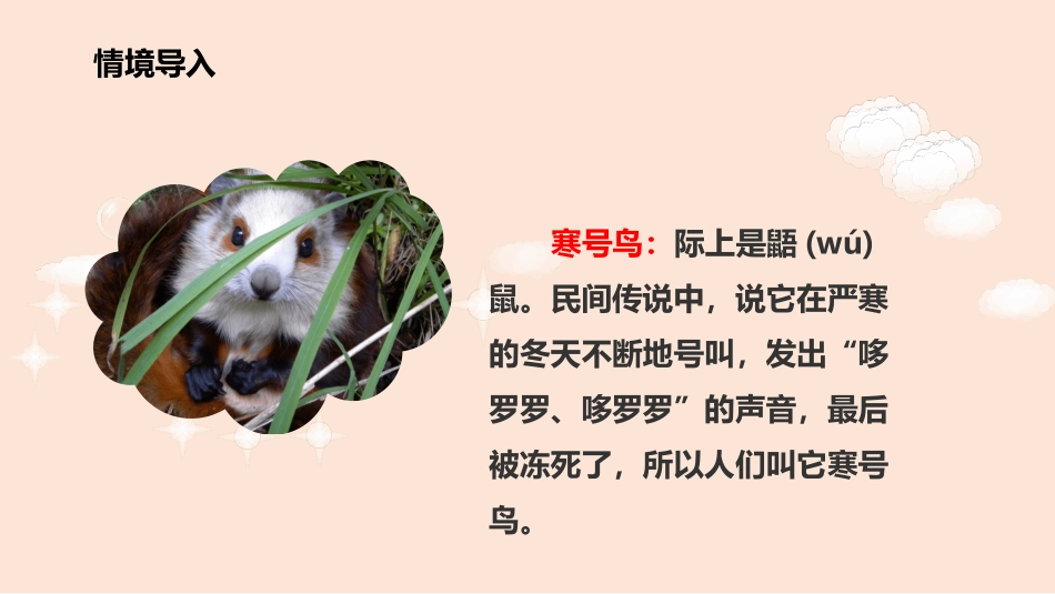 《寒号鸟》PPT教学课件[部编版二年级语文上册]_第1页