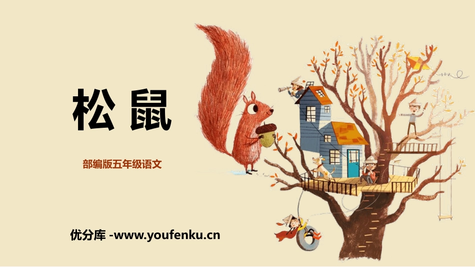 《松鼠》PPT免费教学课件[部编版五年级语文上册]_第1页