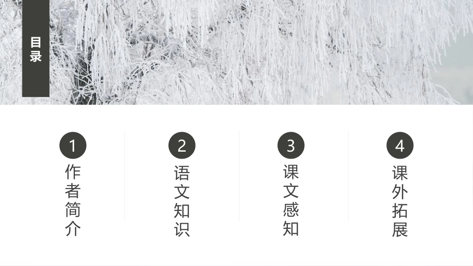 《雪》PPT免费课件[鲁教版八年级语文上册]_第1页