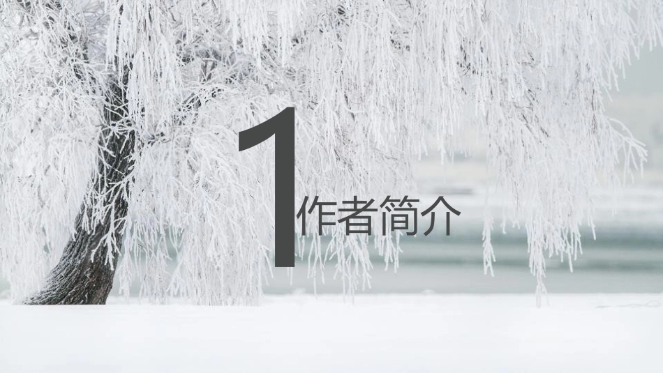 《雪》PPT免费课件[鲁教版八年级语文上册]_第2页