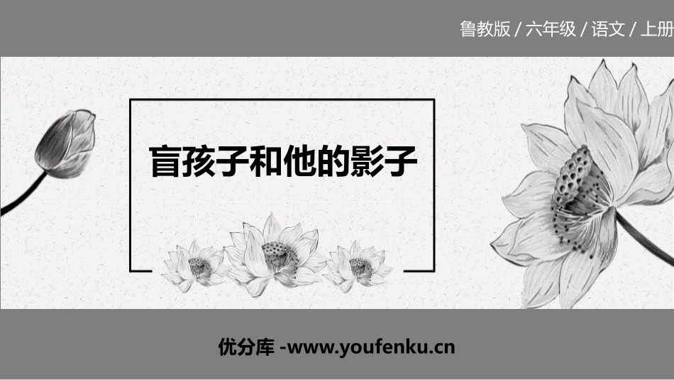 《盲孩子和他的影子》PPT教学课件[鲁教版六年级语文上册]_第1页