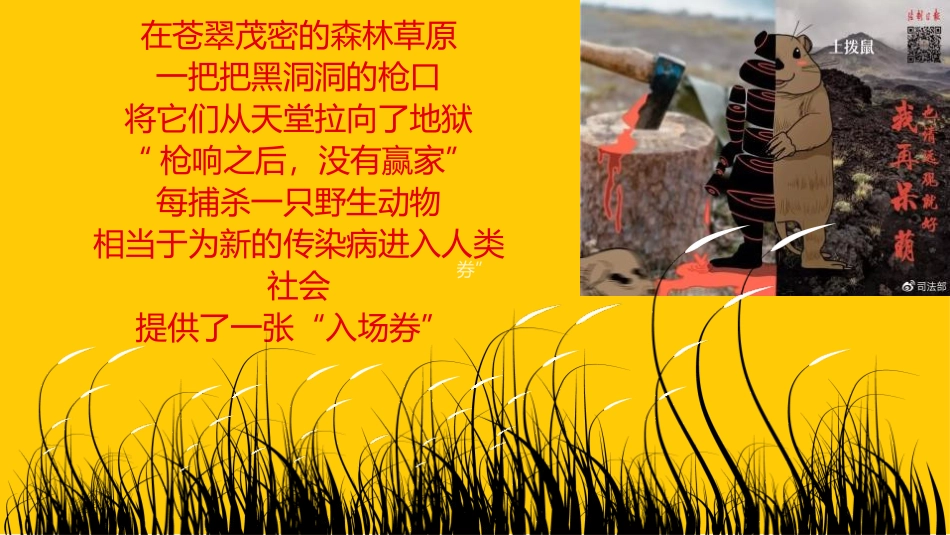 《拒绝野味 保护动物》PPT班会课件[安全主题班会PPT]_第2页