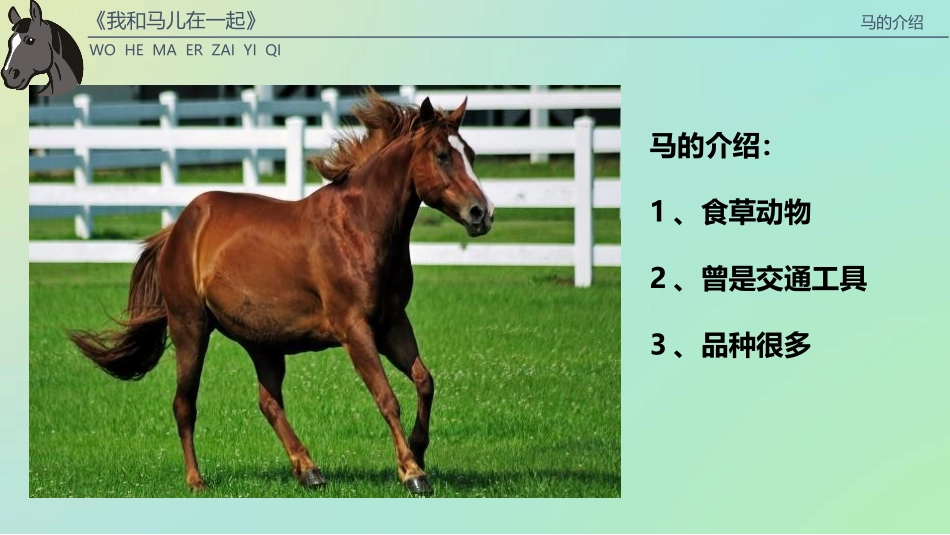 《我和马儿在一起》PPT教学课件[二年级美术上册]_第2页