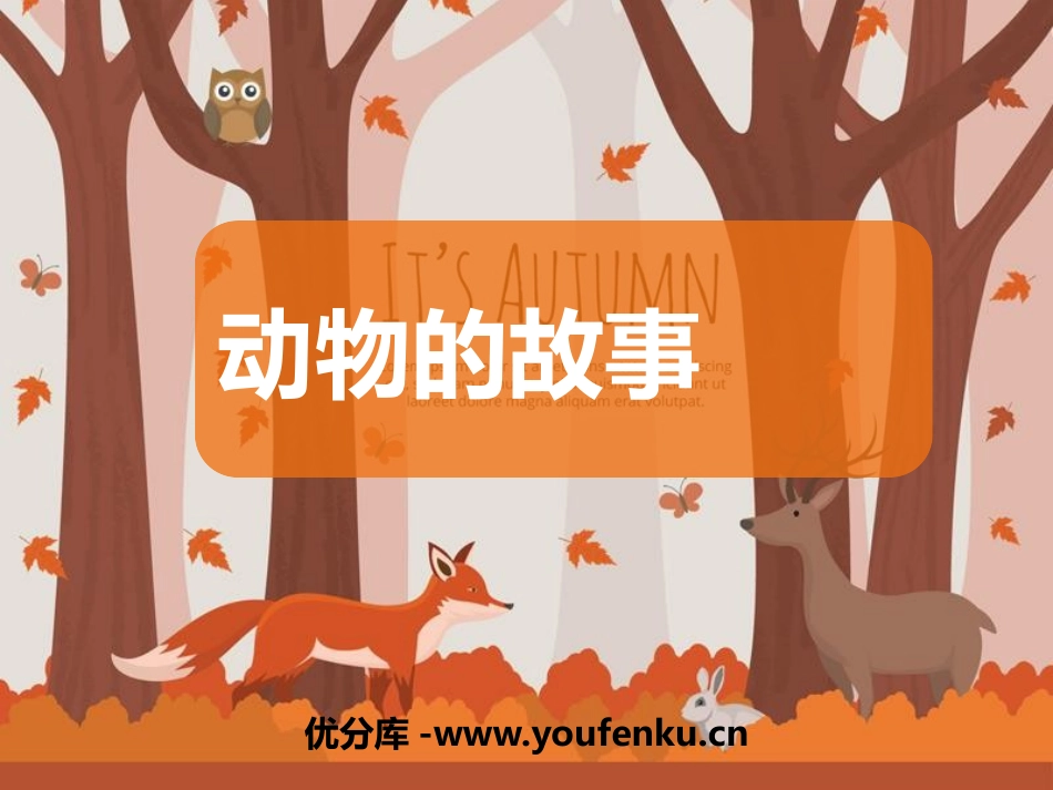 《动物的故事》PPT课件[二年级美术下册]_第1页