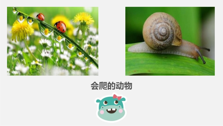 《会爬的玩具》PPT课件[二年级美术下册]_第1页