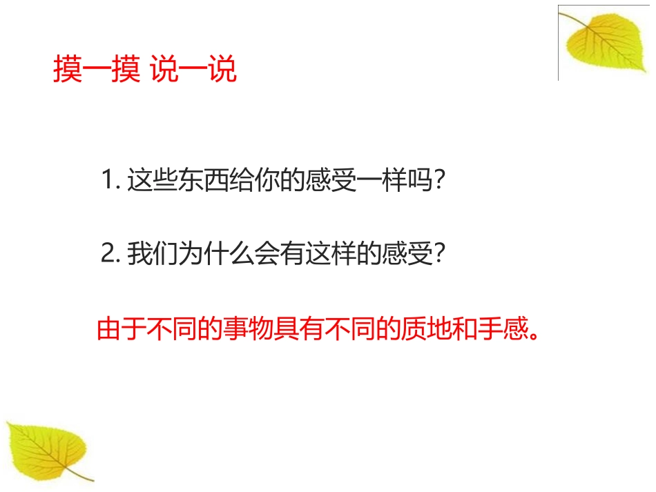 《天然的纹理》PPT教学课件[三年级美术上册]_第2页