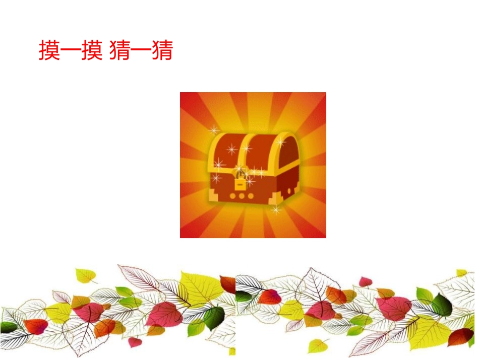 《天然的纹理》PPT教学课件[三年级美术上册]_第3页