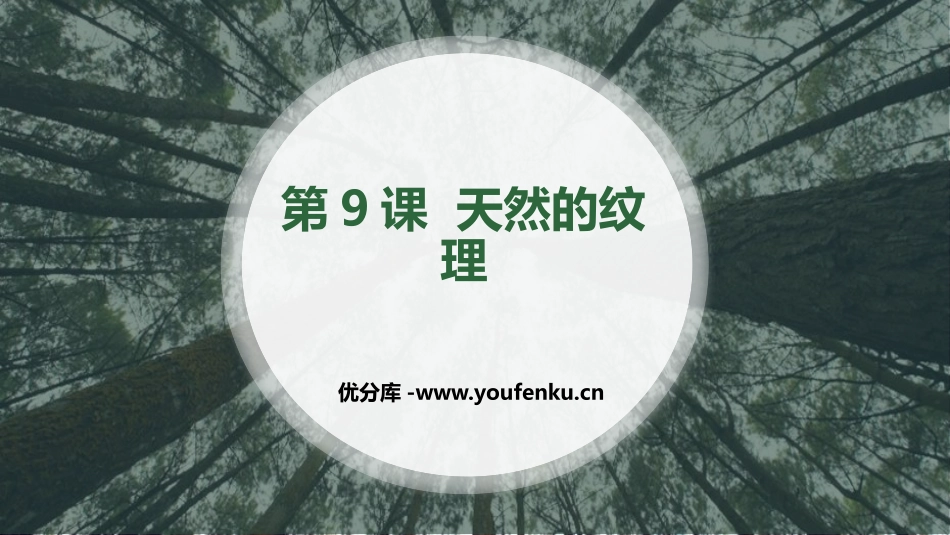 《天然的纹理》PPT免费课件[三年级美术上册]_第1页