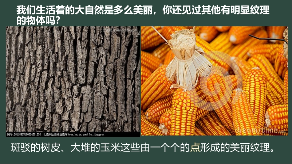 《天然的纹理》PPT免费课件[三年级美术上册]_第3页