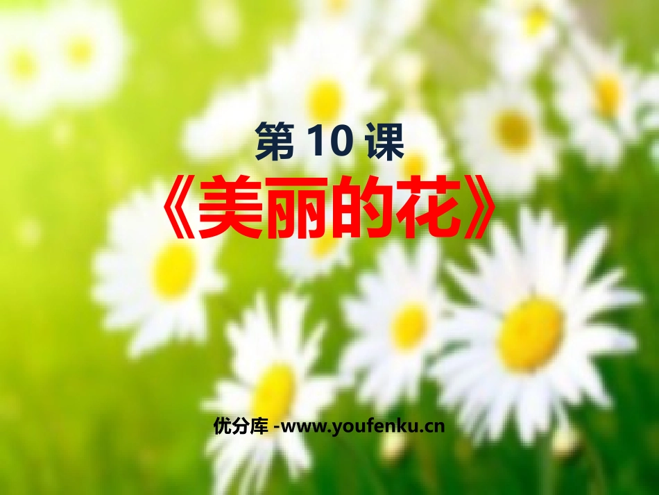 《美丽的花》PPT课件[三年级美术上册]_第1页