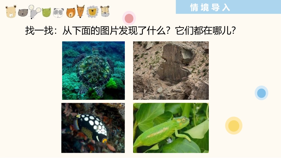 《动物的花衣裳》PPT教学课件[三年级美术下册]_第2页