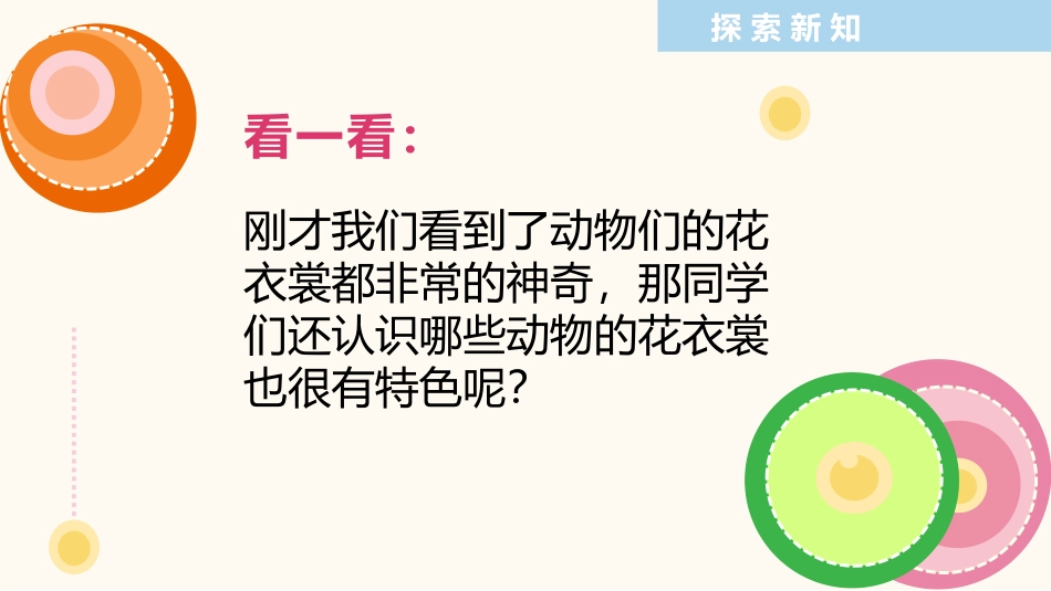 《动物的花衣裳》PPT教学课件[三年级美术下册]_第3页