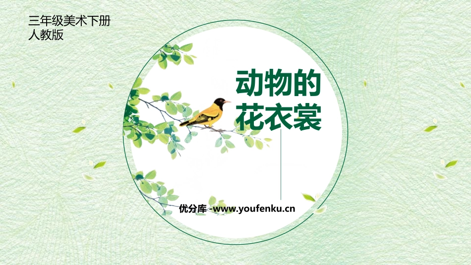 《动物的花衣裳》PPT免费课件[三年级美术下册]_第1页