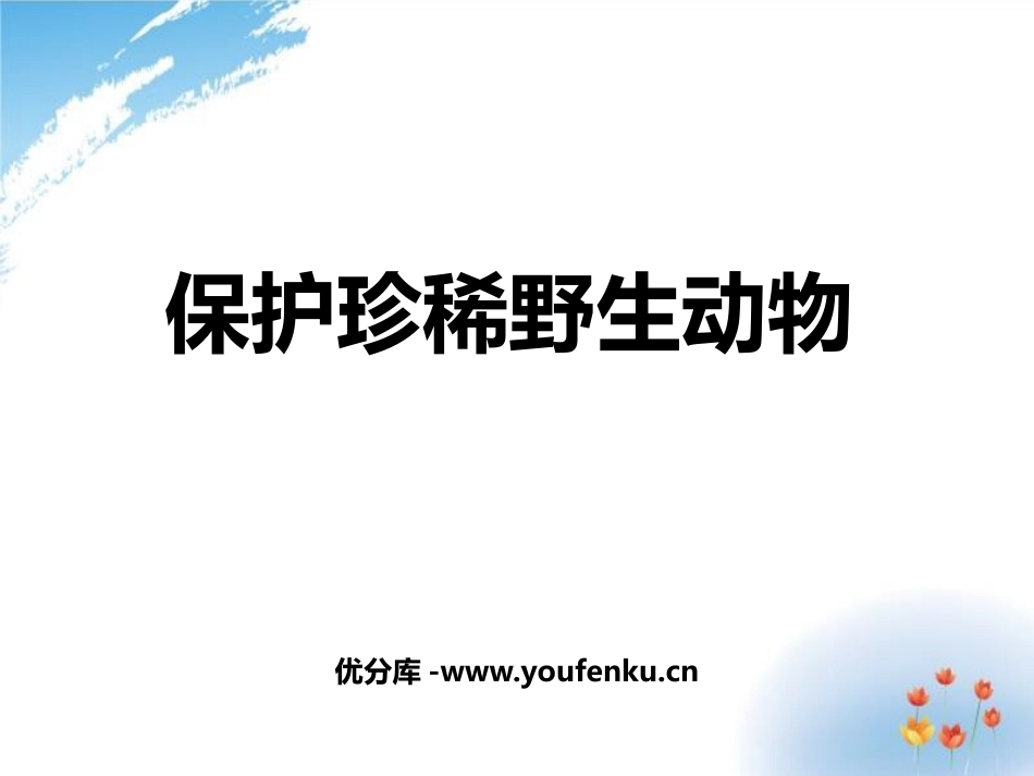 《保护珍稀野生动物》PPT教学课件[三年级美术下册]_第1页